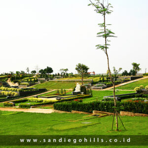 Semi Private - Sky Lawn Mansion Hover Image