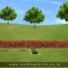 Semi Private - Sky Lawn Mansion