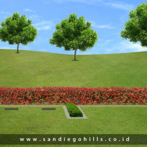 Semi Private - Sky Lawn Mansion