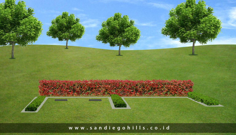 Semi Private - Sky Lawn Mansion